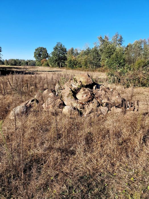 Kamień ogrodowy oddam