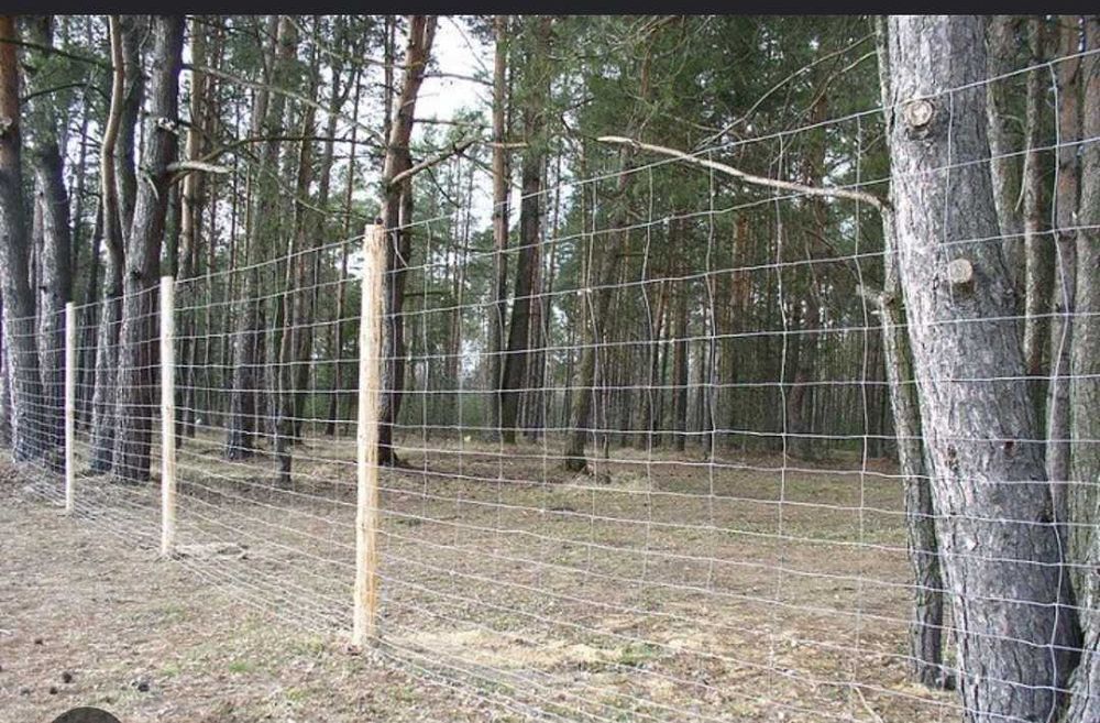 Siatka leśna- ok 35m