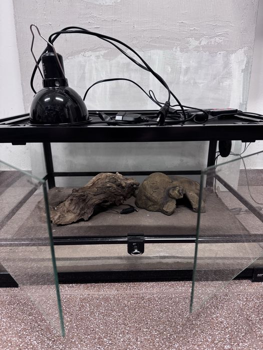 Terarium Repti Zoo- 60x45x32