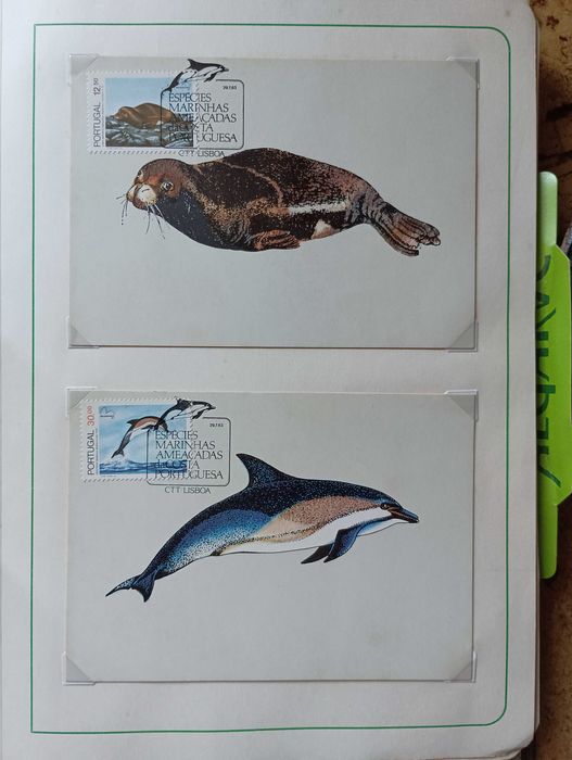 Postais Máximos CTT BPM 1982