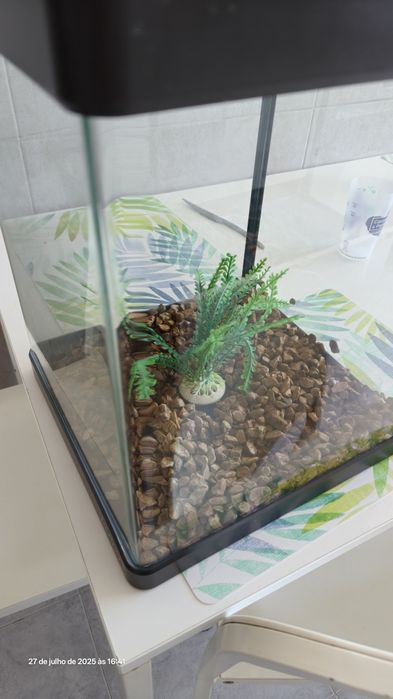 Aquário Panorâmico Boyu