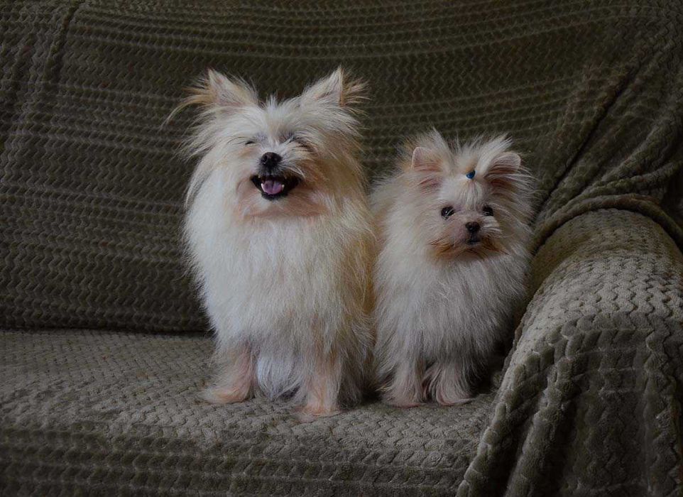 Гарна дівчинка 5 років.