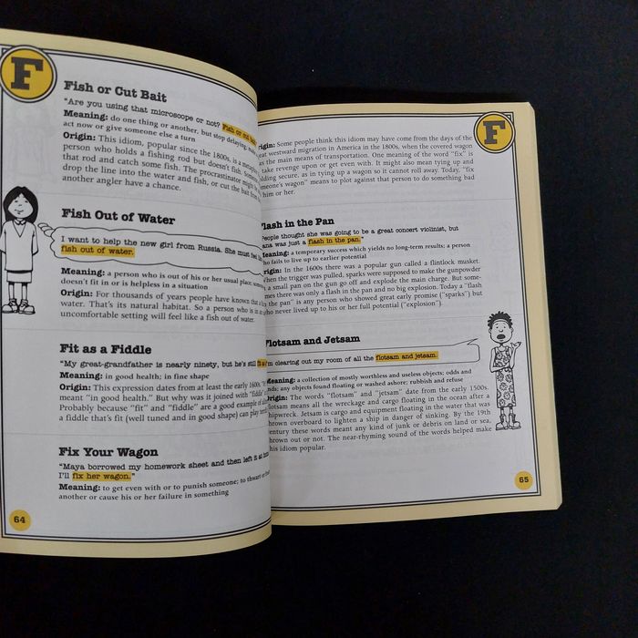 Dictionary of idioms.