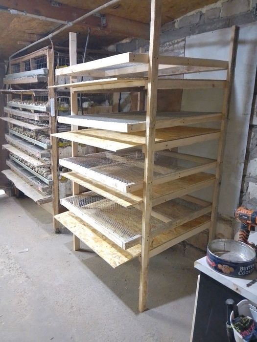 Клітки для перепелів під замовлення.