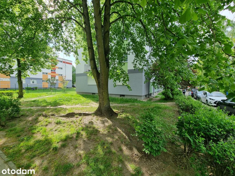 2 wygodne pokoje w super lokalizacji na parterze budynku!