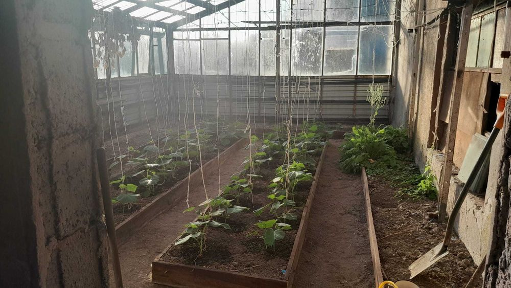 Dom z działką Rakowice