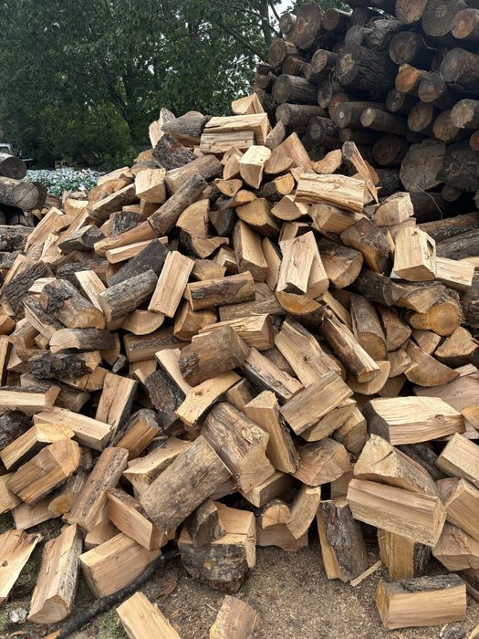 Drewno opałowe/kominkowe brzoza, olcha,dąb,jesion sosna