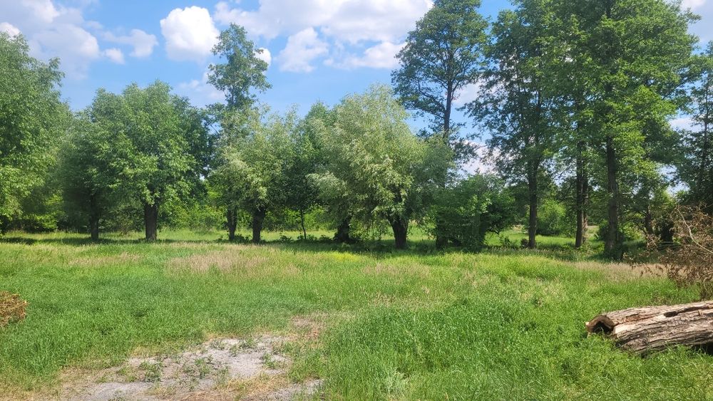 Sprzedam działki budowlane pod zabudowe zagrodową - Widok 5