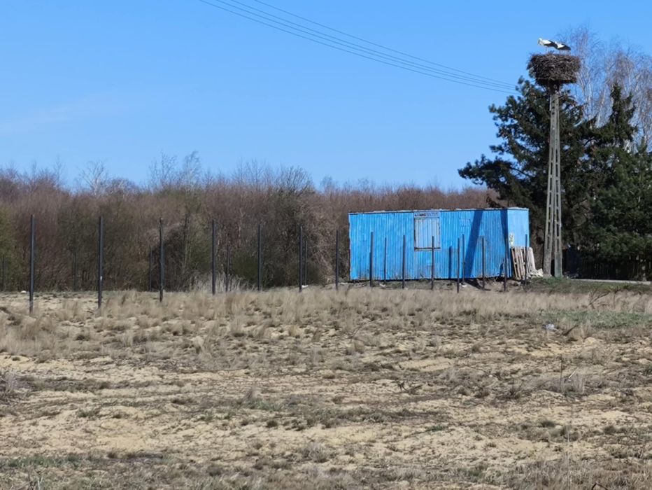 Sprzedaż Działek w Niesiegniewie, Kujawsko-Pomorskie