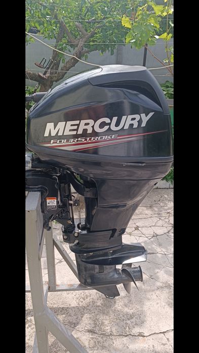 Mercury 15 4T. 2017 starter
