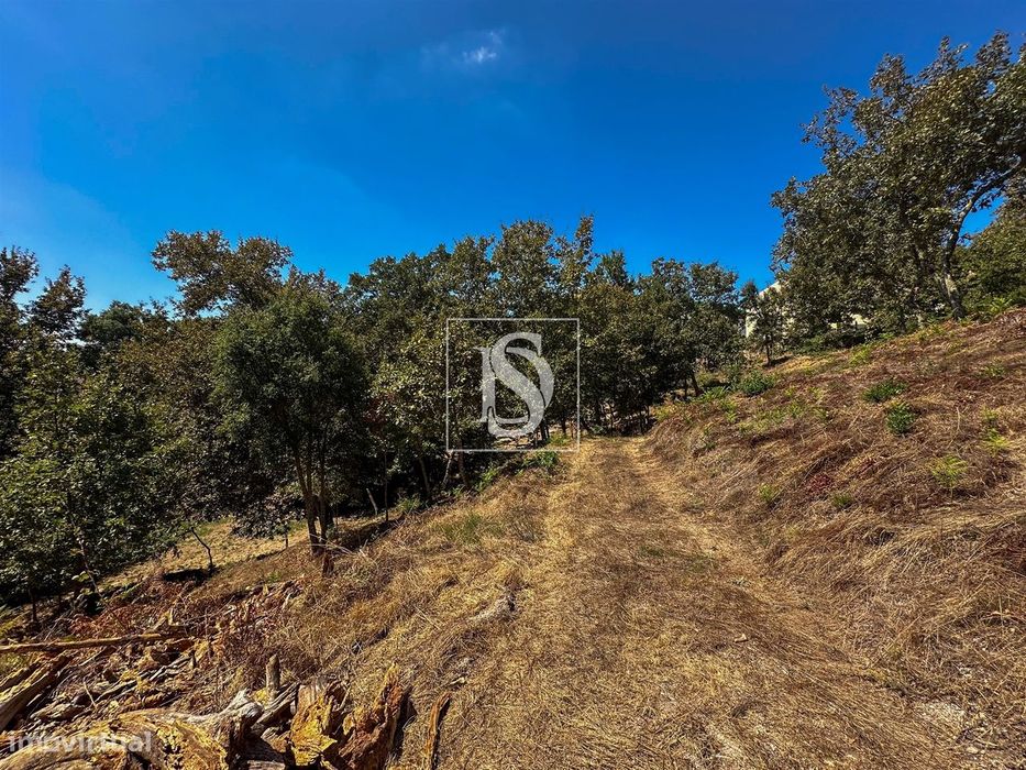 Terreno  Venda em Lufrei,Amarante