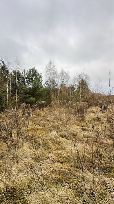 ($) Продам земельну ділянку в с. Гориньград