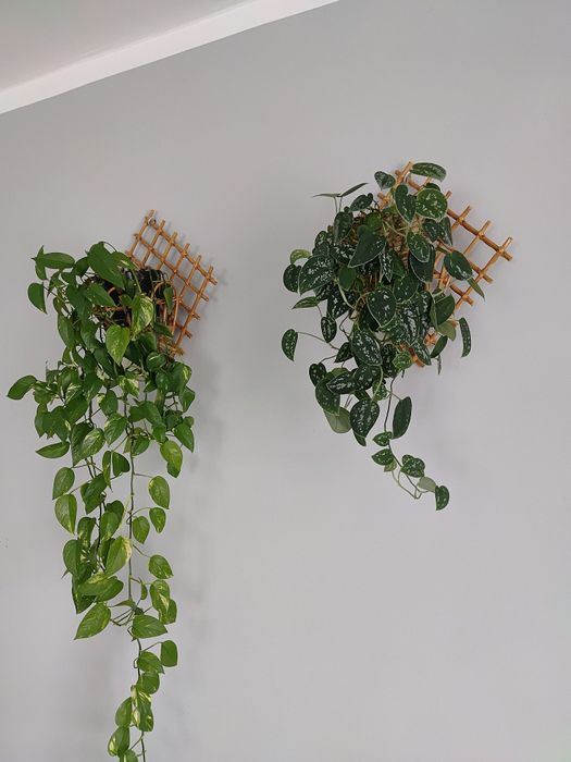 Kwietnik wiklinowy wiszący 2 szt. Wymiary ok 45x40