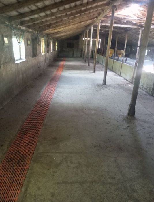 Продам свиноферми