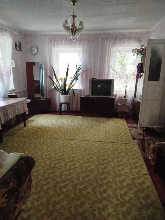 Уютный дом в Царичанке