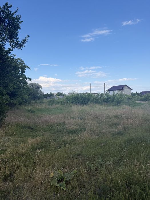 Фото ділянки