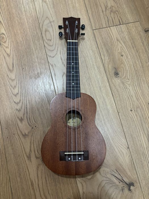 ukulele flight NUS 310