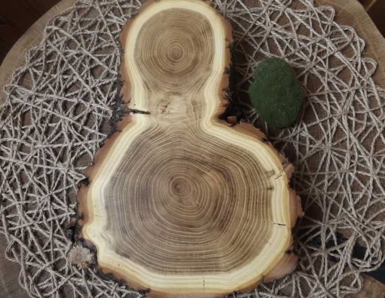 Спили акації для декору