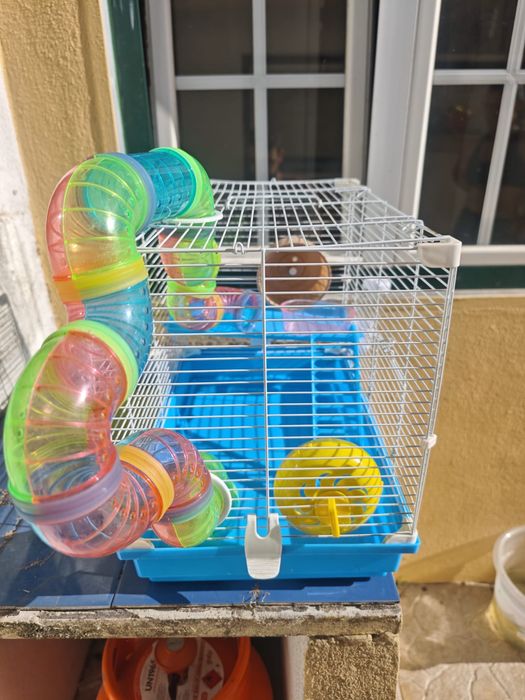 Gaiola para hamster