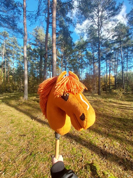 Hobby horse Rudy