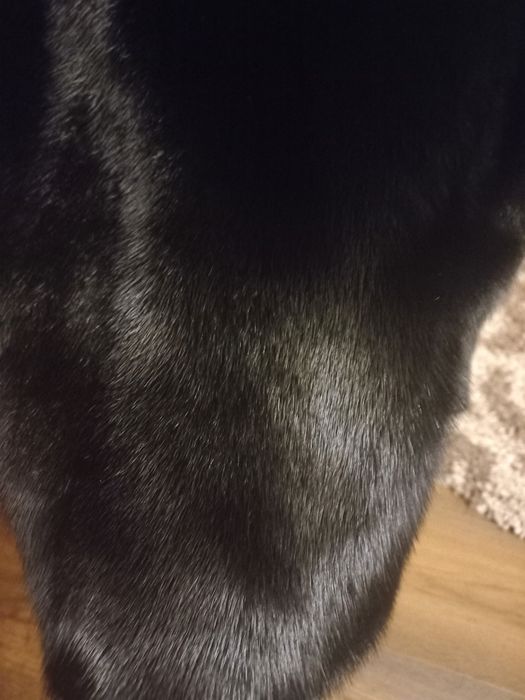 Жіноча норкова шуба XS-S