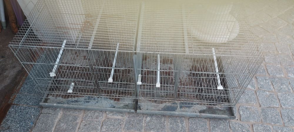 Gaiolas  agapornis e de canarios