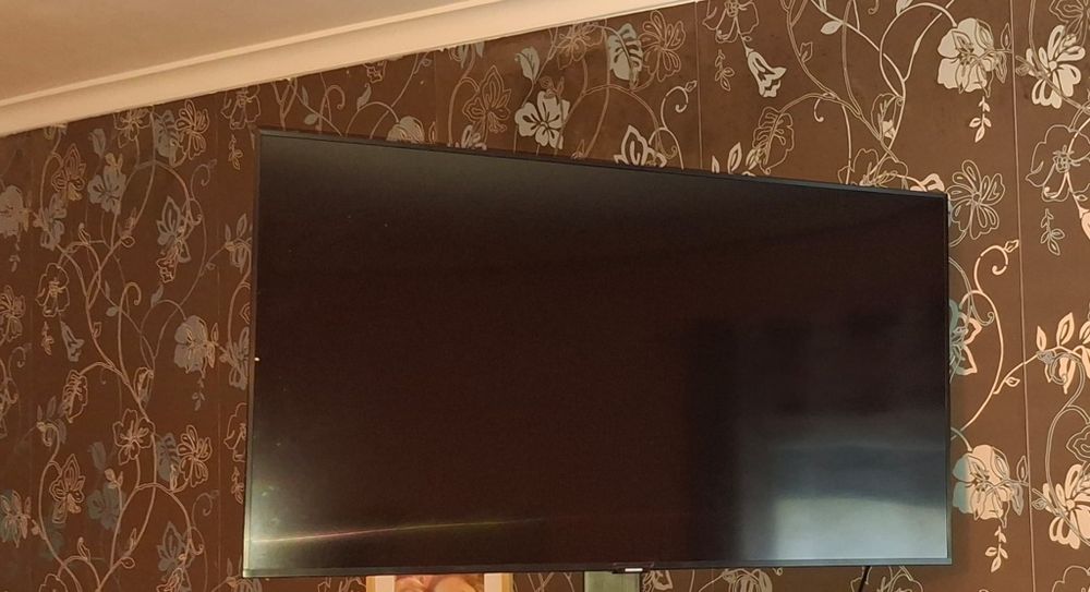 Vendo televisao...