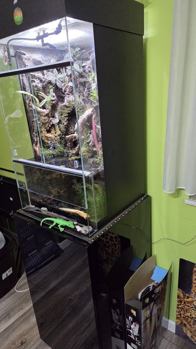 Paludarium Terradise 50x50x80