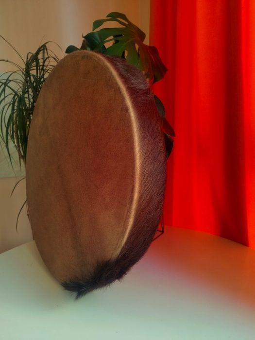 Шаманський бубен