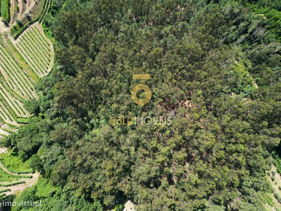 Terreno Rústico  Venda em Sobrado e Bairros,Castelo de Paiva