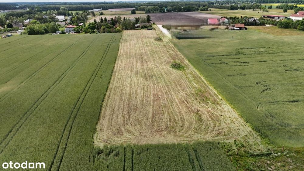 Działka od 8 do 10ar Deszczno Uzbrojone Woda Kanalizacja Prąd Światłow - Widok 2