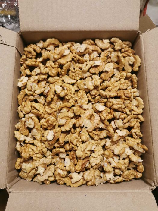 Orzechy Włoskie Łuskane Na Bieżąco 2026 Jasne Bardzo Smaczne 1kg