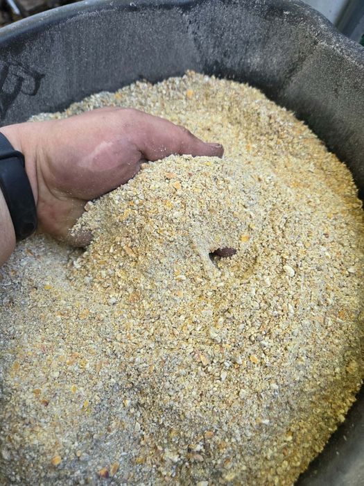 Klatka dla kur o masie 20kg