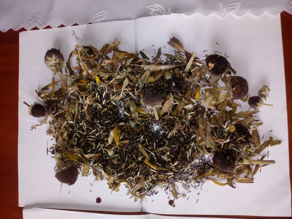 Sprzedam nasiona kwiatków ogrodowych