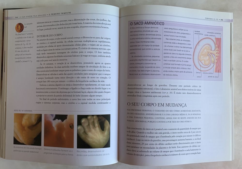 Livro: Gravidez semana a semana (como novo)