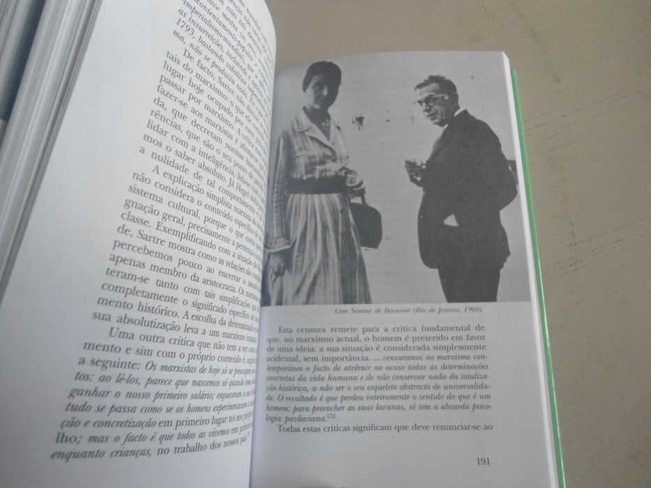 Sartre por Walter Biemel
