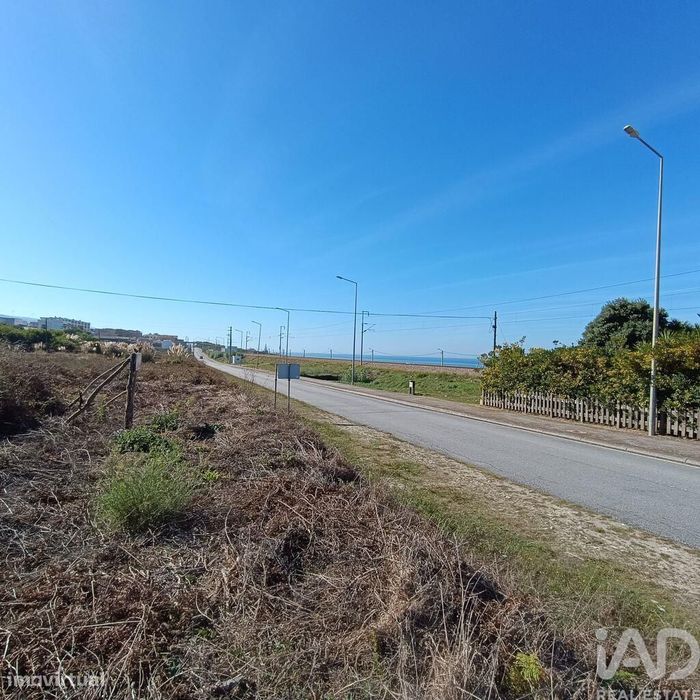 Terreno em Moledo e Cristelo