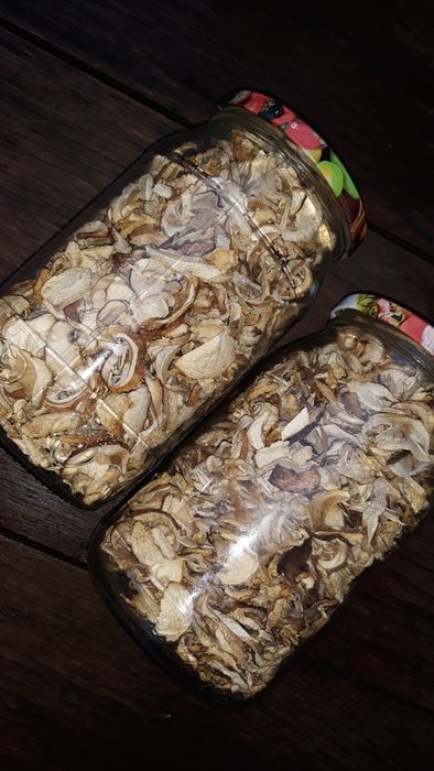 Borowik suszony EXTRA