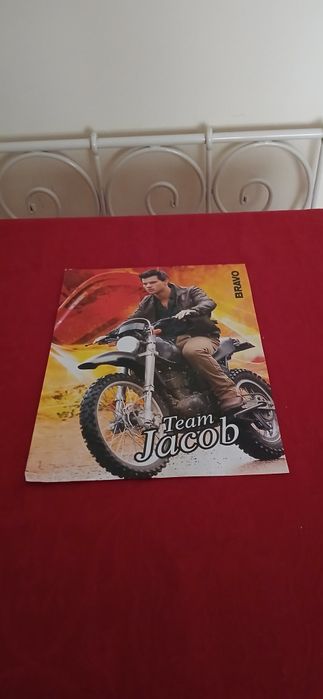 Poster Team Jacob/Team Eduard