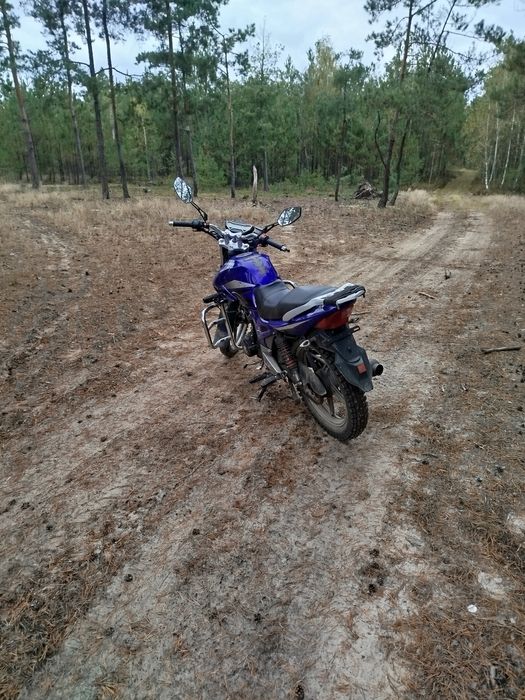 Продам Мустанг регіон 200