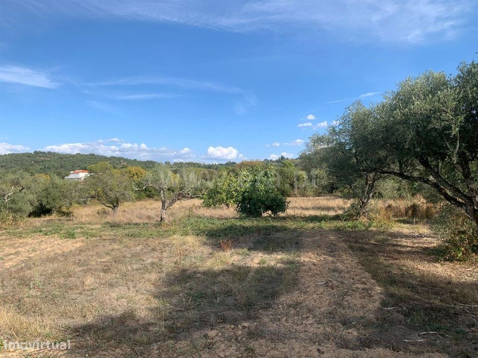 Terreno com ruina / Fundão, Freixial