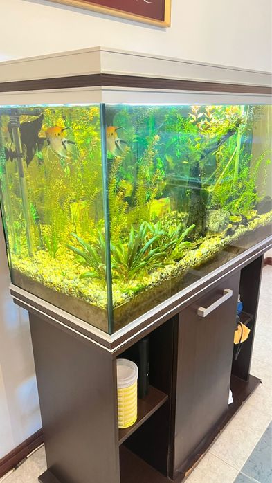 Aquario 200lt completo