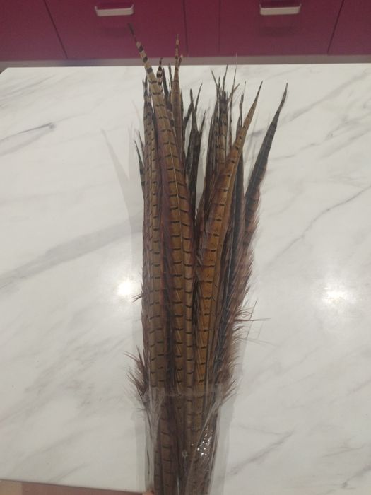 Перья фазана перо фазана