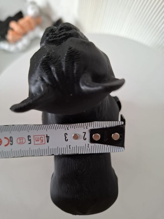 Cão de raça decorativo