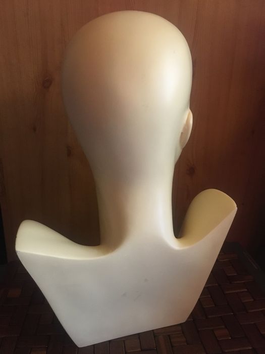 Ekspozytor + nowa peruka