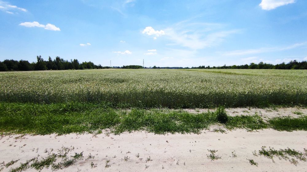 Grunty rolne ok. 5 ha - Sławacinek Stary - Więcej