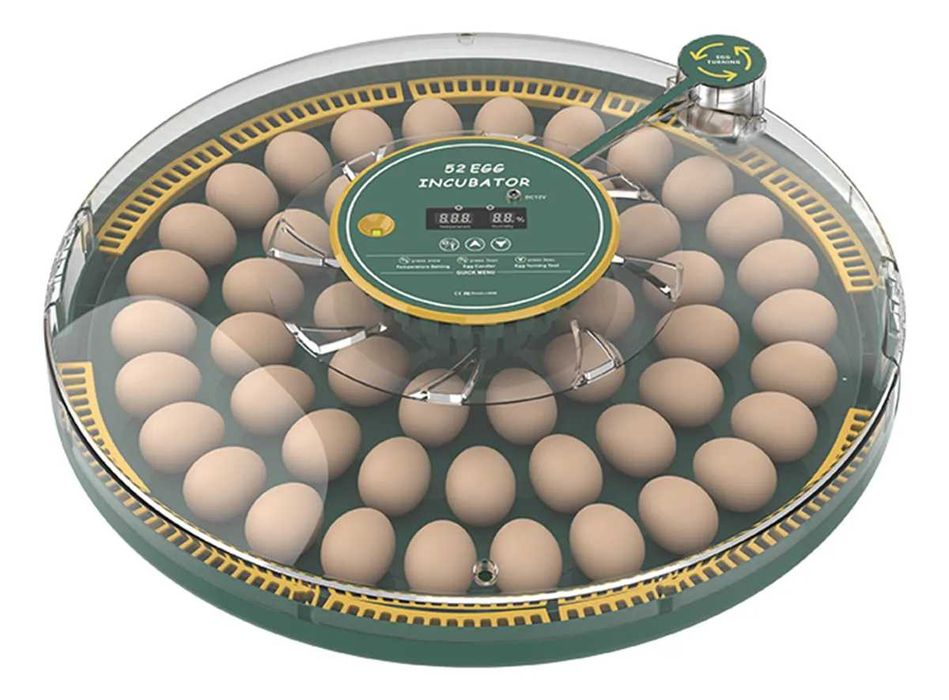 Inkubator do jaj automatyczny z wyświetlaczem wilgotności OVOstart 52