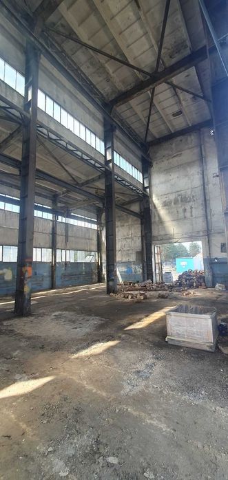 Sprzedaż nieruchomości położonej w Staszowie przy ulicy Rakowskiej 33 - Widok 3
