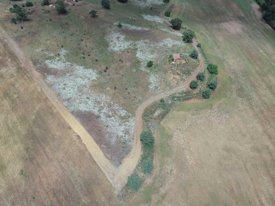 herdade no baixo Alentejo
