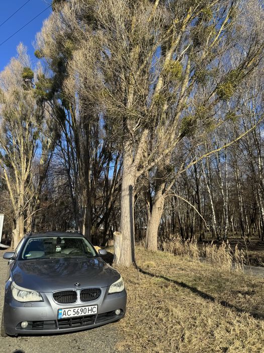Продам BMW 525 E61